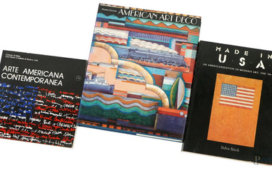 Lotto composto da 3 libri sull'arte americana