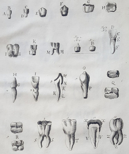 Malpighi Marcello - Opera Medica, Et Anatomica varia quibus praefationes, & animadversiones addidit - 1743