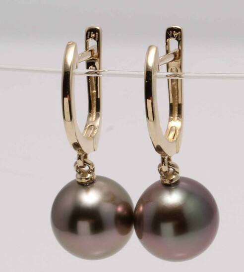 NO RESERVE PRICE - 10x11mm Round Tahitian Pearls - 14 kt. Yellow gold - Earrings