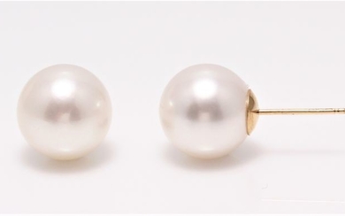 NO RESERVE PRICE - 18 kt. Yellow Gold - 10x11mm Lustrous South Sea Pearls - Earrings