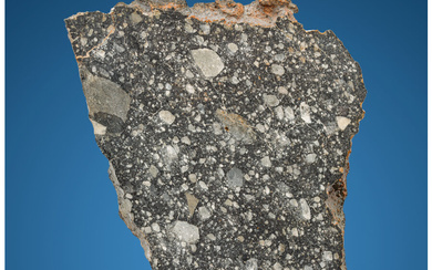 NWA 13119 Lunar Meteorite End Cut Lunar (feldspathic breccia)...