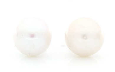 '' No Reserve Price '' - 18 kt. Akoya pearl, White gold - Earrings