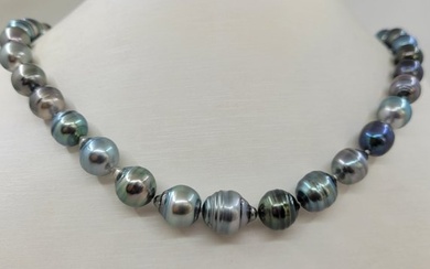 No Reserve Price - Necklace 8x11.5 Multi Tahitian Pearls