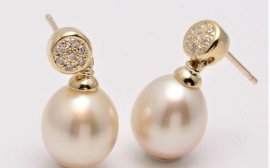No reserve price - 14 kt. Yellow Gold- 10x11mm Champagne Golden South Sea Pearls - Earrings - 0.11 ct
