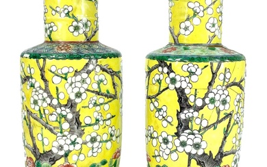 Two similar Chinese porcelain famille juan prunus pattern vases, 19th century