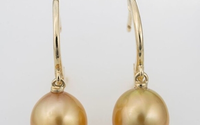 United Pearl - 10x11mm Deep Golden South Sea Pearls - 14 kt. Yellow gold - Earrings