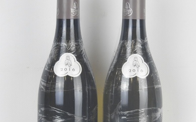 2 bouteilles Pernand-Vergelesses Les Combottes 2016 Domaine Rapet