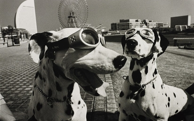 Elliott Erwitt, Yokohama, Japan (2 dogs in goggles)