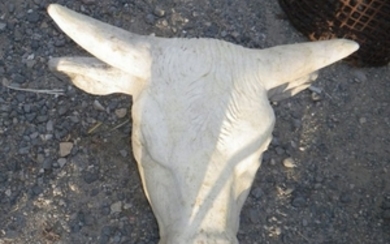 French Terra cotta bull head trade sign