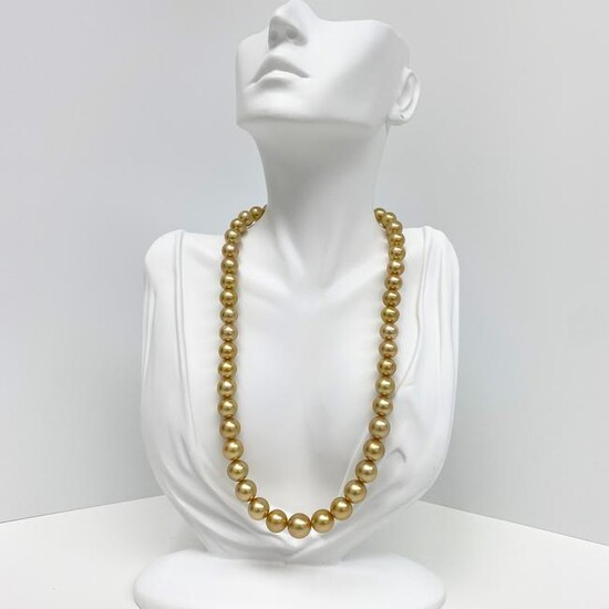 9-12mm South Sea Golden Round Pearl Necklace with Gold