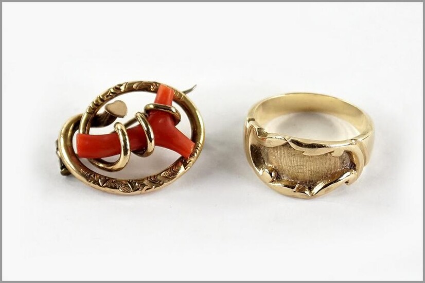 A Coral and 14 Karat Yellow Gold Brooch.