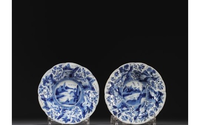 China - A pair of blue-white porcelain plates with floral decoration, Kangxi period.