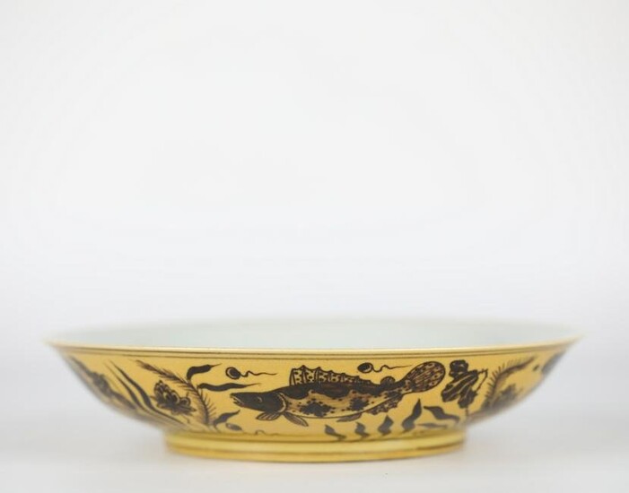 Chinese Fish Pattern Porcelain Plate, Ming Dynasty