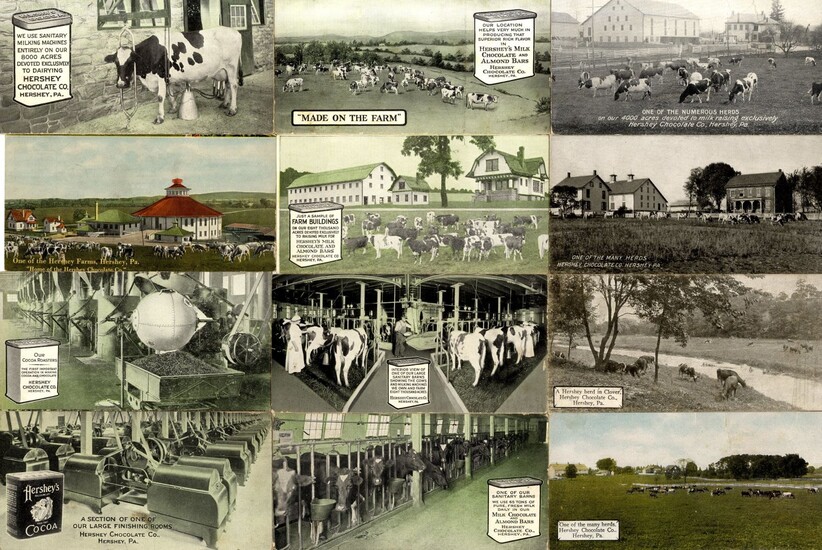 Collection of [42] Postcards Made by Hershey's. United States, Early 20th Century
