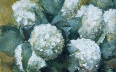 Corry Butcher (1893-1927), Chrysanthemum, watercolour, unsigned, provenance: Kunsthandel...