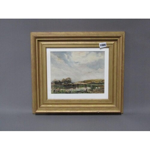 FRED RIDER, MARSHLAND SHOWERS - SUSSEX, PASTEL AND WATERCOLO...
