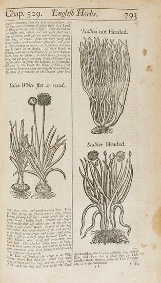 Herbal.- Salmon (William) Botanologia. The English