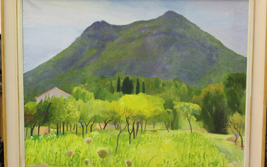 Michael Stokoe - Olive Groves with Mountain beyond, 20th century oil on canvas, signed, 70cm x 75cm