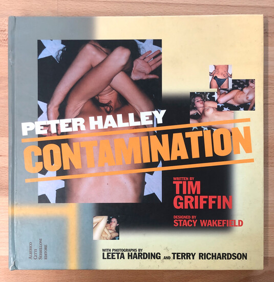 PETER HALLEY - Peter Halley. Contamination, 2002