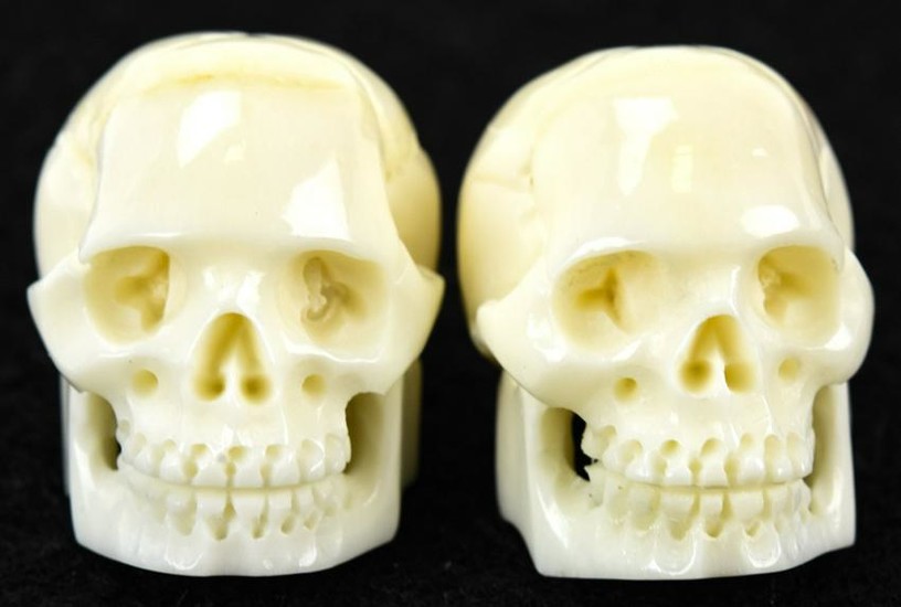 Pair of Memento Mori Human Skull Horn Carvings