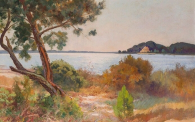 Raoul DOSQUE (1860-1937) L'étang de Lacanau Huile sur toile signée en bas à droite. 66...