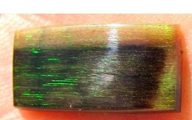 Rare 3.2ct Virgin Valley Nevada Wood Opal