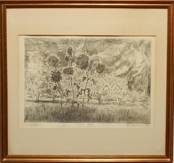 "Sunflowers" Signed Etching 1958