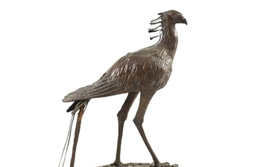 Tim Nicklin. Un modèle en bronze d'un oiseau secrétairedebout sur un socle naturaliste, signé et...