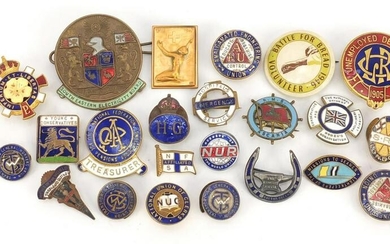 Twenty three political interest vintage badges and