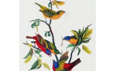 c1946 Audubon Print, #53 Painted Bunting