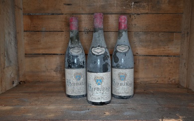 9 bouteilles Hermitage rouge Marquis de Buissieu... - Lot 67 - Ferri & Associés