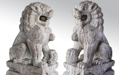 (2) Chinese carved marble Fu lions