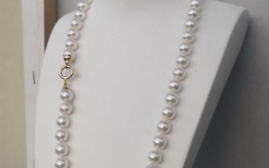 9 mm - 18 kt. Akoya pearls - Necklace