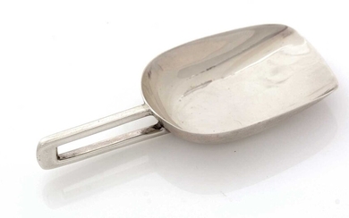 A George V silver caddy spoon.