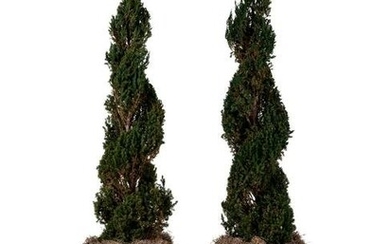 A Pair of Victorian Style Iron Urns with Topiaries