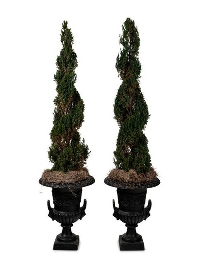 A Pair of Victorian Style Iron Urns with Topiaries