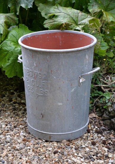 A pair of zinc twin handled vessels utilised as planters