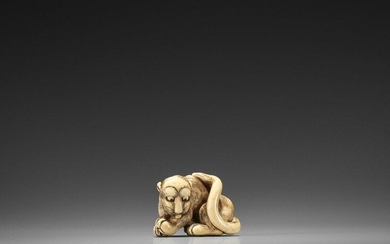 AN EXCELLENT KYOTO SCHOOL IVORY NETSUKE OF A GROOMING YOUNG TIGER