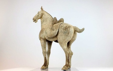 Ancient Chinese Terracotta, Early Tang Dynasty Painted Grey Pottery Figure of Striding Horse with Separate Saddle with TL test Figure - 49 cm