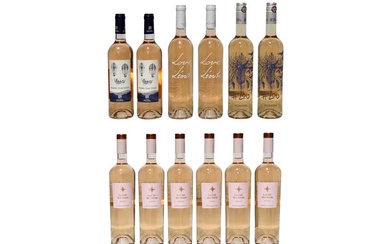 Assorted Southern French Rosé wine: La Cite des Vents Rosé, Auzias, 2021, six bottles and six others