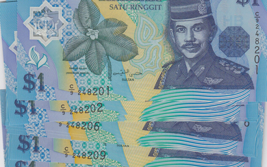 Brunei 1 Ringgit 1996 (20)