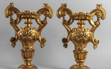 Coppia di vasi Luigi XIV in legno intagliato e