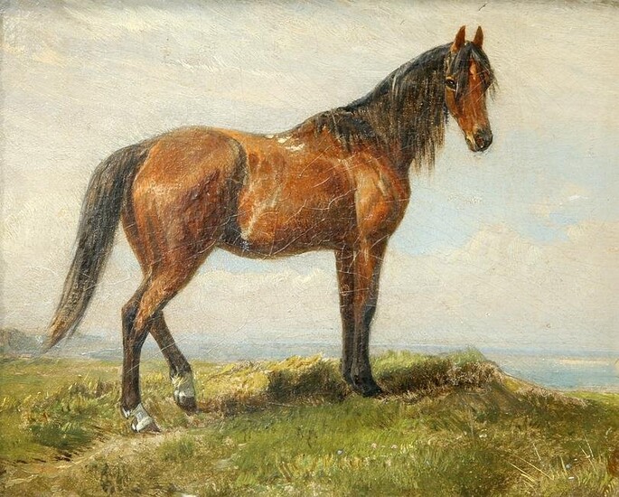 ENGLISH SCHOOL (19TH/20TH CENTURY) PORTRAIT OF A HORSE IN A COASTAL LANDSCAPE