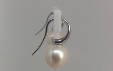Earrings White Gold 18K - FreshWater Pearls