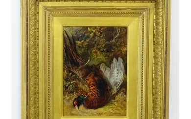 James Hardy (1832-1889), Oil on board, A study of a cock phe...