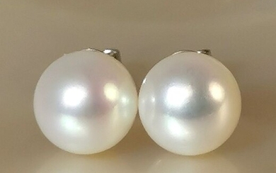 #LOW RESERVE PRICE# - 18 kt. Akoya pearls, White gold, Round shape Ø 8,5x9 mm - Earrings
