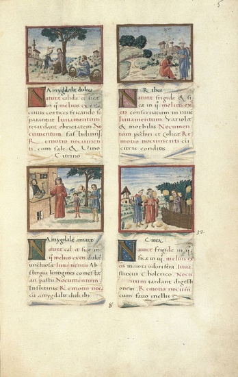 [Medieval manuscripts]. Tacuinum Sanitatis. Graz, Akademische Druck- u. Verlagsanstalt, 1984,...