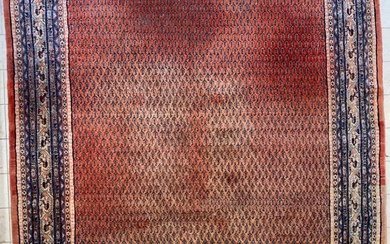 Mir - Carpet - 271 cm - 223 cm