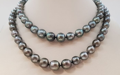 NO RESERVE - 8x12mm Peacock Green Tahitian Pearls - 925 Silver - Necklace