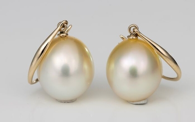NO RESERVE PRICE - 10x11m Golden South Sea Pearls - 14 kt. Yellow gold - Earrings